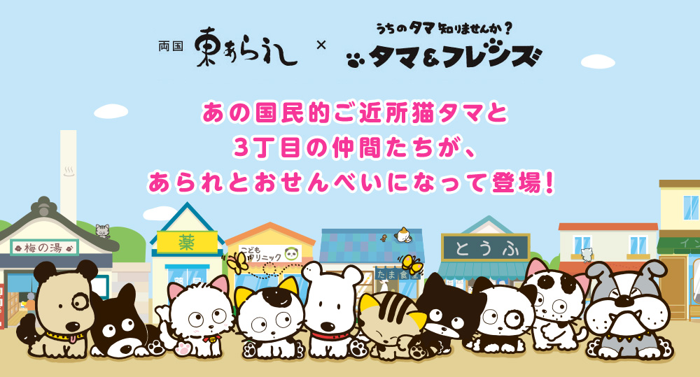 あの国民的ご近所猫タマと3丁目の仲間たちが、あられとおせんべいになって登場!