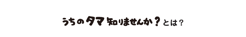 うちのタマ知りませんか?とは?