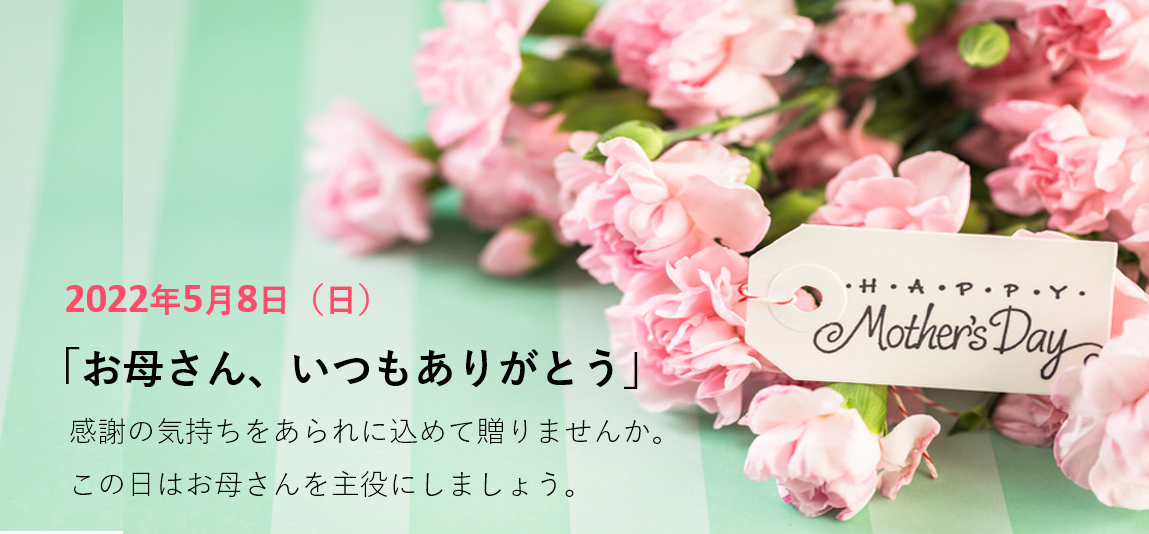 母の日ギフト | 東あられ本鋪【公式通販】
