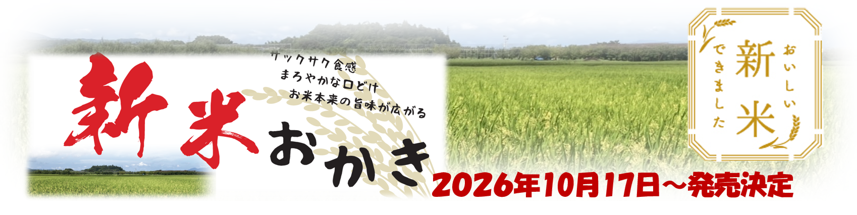 新米2026